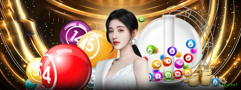 777tigerbet Game