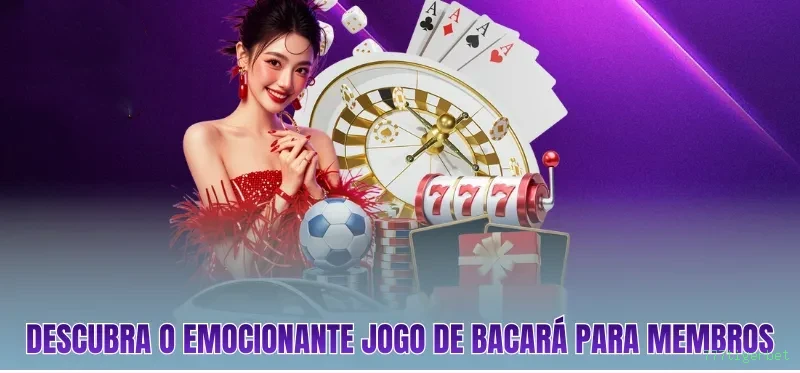 777tigerbet Baixar e Login